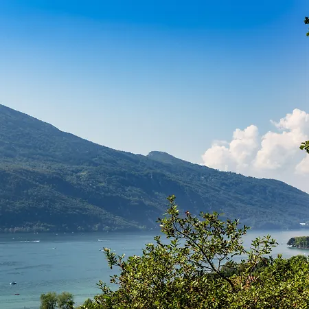 Szálloda Urban & - Bw Signature Collection