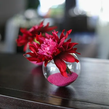 Urban & - Bw Signature Collection Aix-les-Bains